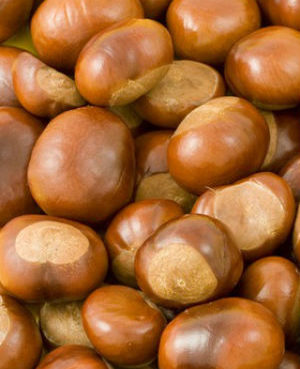 leche de castañas