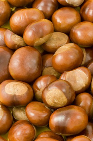 leche de castañas